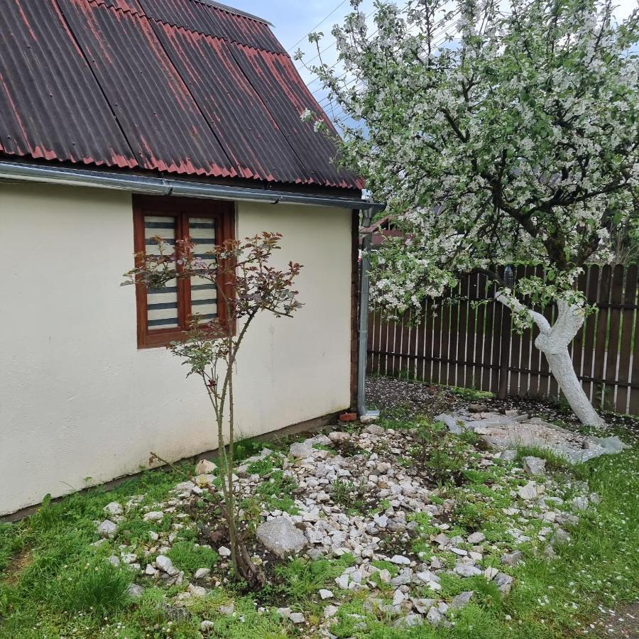 Vila Paula & Spa Sovata Eksteriør billede